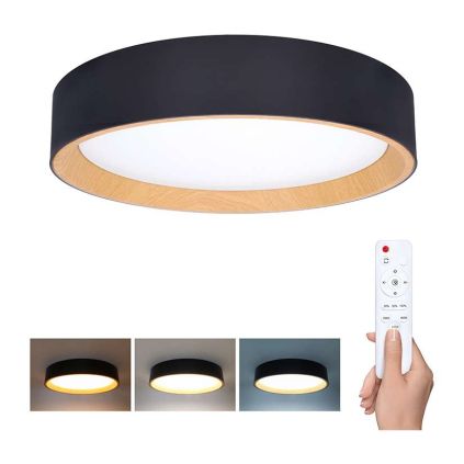 LED stropní světlo s dálkovým ovládáním Larios nastavitelné - průměr 39 cm, černá